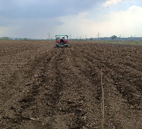 Environmental Conservation